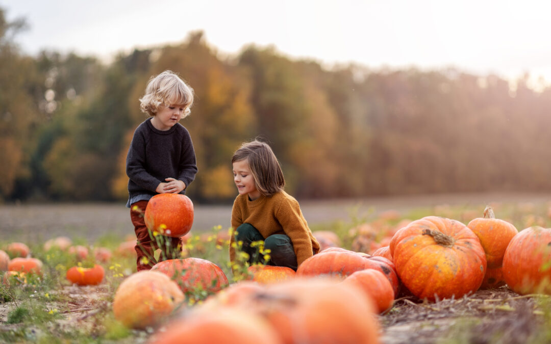 The 6 Most Anticipated Fall Activities You Can Enjoy