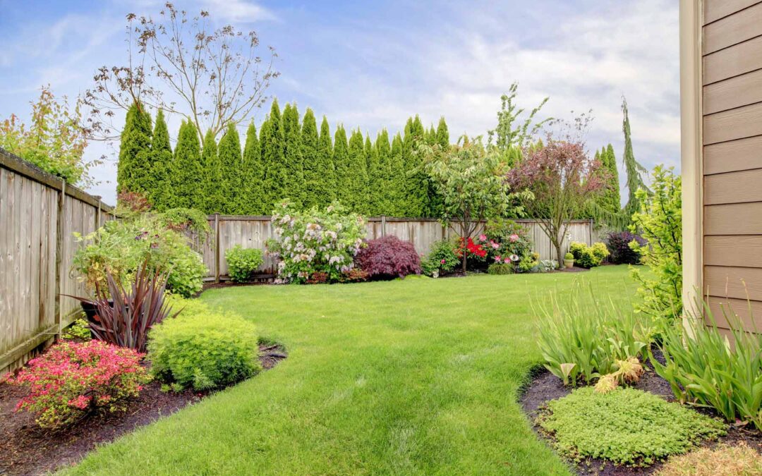 8 Affordable Landscaping Tips to Boost Your Curb Appeal